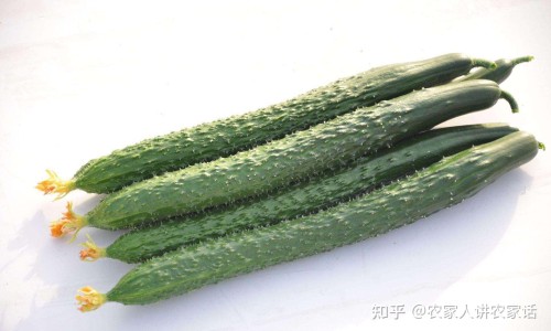 白蕊和豉翘能一起吃吗-白蕊和豉翘颗粒哪个效果好网小儿豉翘清热颗粒和百蕊颗粒两种药可以混在一起喝吗知识网站,分享百蕊和豉翘哪个好大全